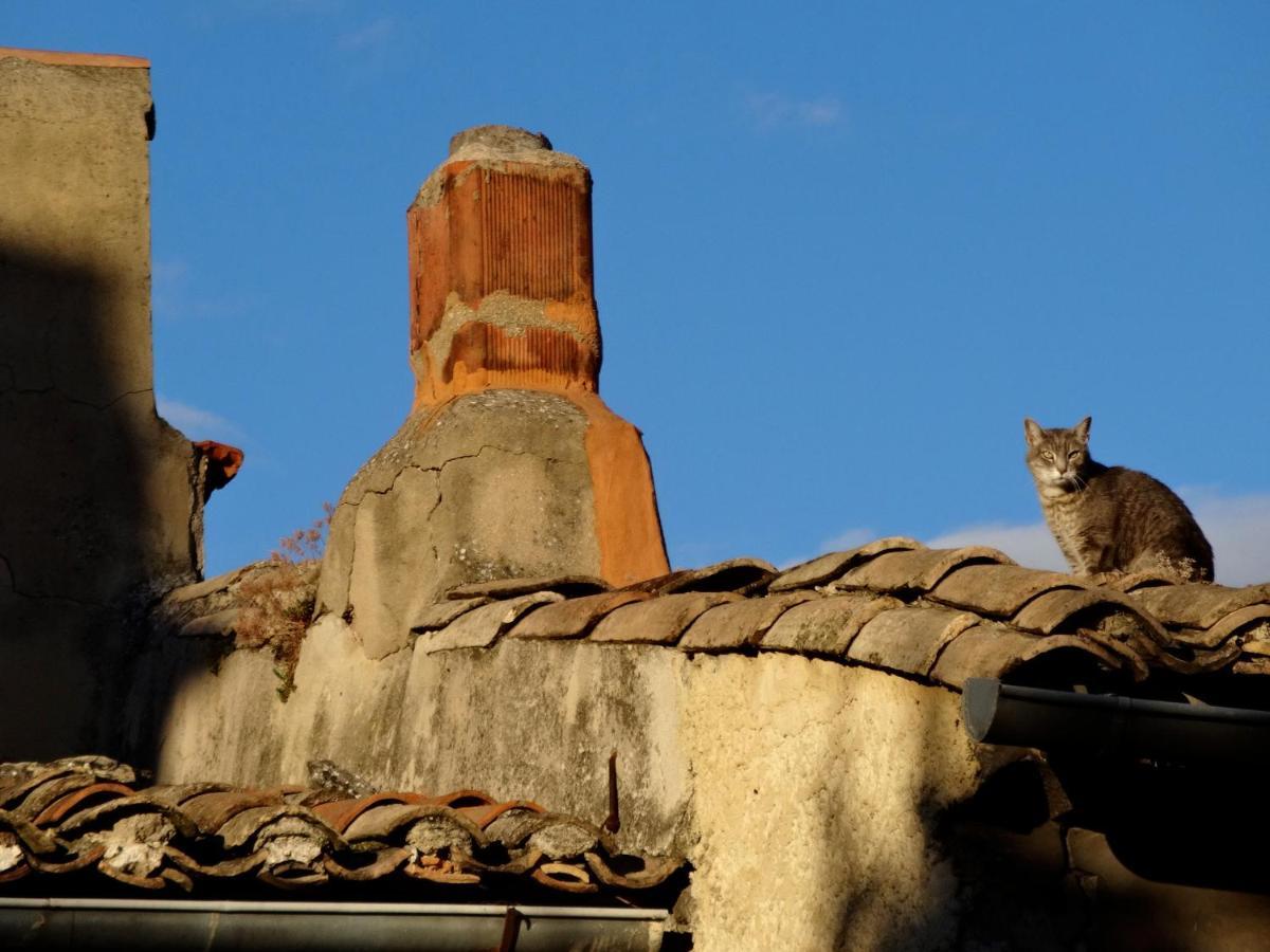 La Marisol Villa LʼIsle-sur-la-Sorgue Buitenkant foto